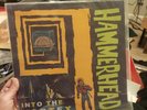 Hammerhead Into The Vortex Record