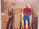 Spider-Man LP Vinyl Rock Reflections Of A Superhero 1975