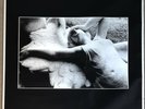 JOY DIVISION Love Will Tear Us Apart HUGE 1980 promo poster O.R. Very RaRe