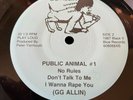 GG ALLIN PUBLIC ANIMAL #1 45 7