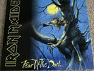 2 LP Vinyl Iron Maiden Fear of the Dark (2015 Remaster)