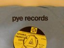 Rare Prom/ Demo 45rpm - The Rainbow People - Living In A Dream World - Excellent