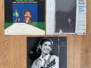 3 Townes Van Zandt Vinyl LP Albums For the Sake of the Song Flyin' Shoes Live