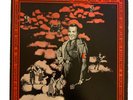 The Residents: Present The Third Reich N' Roll-LP 1979 Ralph Records  RR 1075