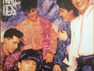 New Kids On The Block ‎– Step By Step [ Vinyl Greek Press 1990 Mint Synth Pop ]