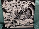 DJ Q-BERT 100 MILES PER HOUR BACKSLIDING TURKEY KUTS RECORD