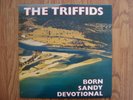 The Triffids – Born Sandy Devotional 12