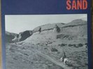 Giant Sand -  Ballad of a thin Line Man LP 1986