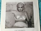 Vinyl 12