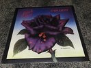 Thin Lizzy Black Rose LP New Sealed Vinyl Reissue Phil Lynott