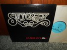 SALT CREEK BAND - GAMBLIN' FOOL - VINTAGE MINNESOTA PRIVATE COUNTRY LP