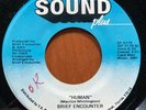 BRIEF ENCOUNTER Human/Total Satisfaction SOUND PLUS Orig RARE Modern Soul 45 VG+