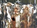 ZOVIET FRANCE - A Third Collusion 2xLP experimental ambient industrial