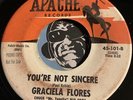 GRACIELA FLORES Teen 45 Apache You're Not Sincere  A Wilted Rose A Broken Heart