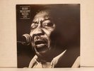 Muddy Waters 