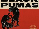 Black Pumas - Black Pumas (Super Deluxe Edition) Vinyl 2LP + 7