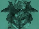 Jay-Jay Johanson - Rorschach Test Vinyl LP NEU 09548283