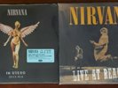 Nirvana Vinyl Albums Live at Reading & In Utero 2013 MIX 2LP Hard to Find