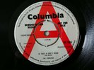 The tornados vinyl 45rpm. Is that a ship I hear/Do you come here often. (Demo). 