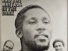 TOOTS AND THE MAYTALS: In The Dark UK Dragon Orig ‘74 Reggae Roots LP Vinyl