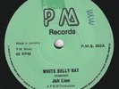 JAH LION* White Belly Rat * BLACK ART *Vampire* 1978 REGGAE DUB UK 45 *Lee Perry