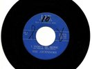 The Ascendors Rare Garage My Friend / I Won't Be Home Lee Records