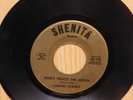 Cornell Blakely Detroit doowop soul 45 Dont Touch The Moon bw To Be True Shenita