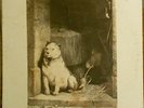 Pavlov's Dog- Pampered Menial hard rock prog lp on Dunhill 1975