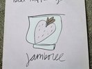 Beat Happening Jamboree LP  Vinyl AGAS 2 1988 53rd & 3rd Records, K. MINT.