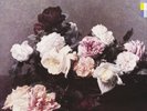 NEW ORDER-Power, Corruption & Lies (UK IMPORT) VINYL LP NEW