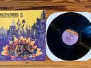 Wildflowers 5 (The New York Loft Jazz Sessions) LP Vinyl US 1977 Free Jazz NM/VG