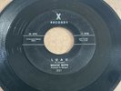 Beach Boys - Luau/Surfin * X 301 Surf Rock 45 Rare