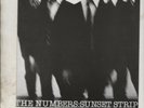 THE NUMBERS Sunset Strip JAPAN 7