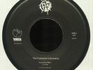FREESTYLE FELLOWSHIP, The - Sunshine Men - Vinyl (7