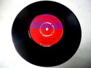 The Starlites- 
