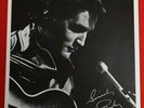 Elvis 