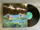 Sonic Youth Murray Street NM reissue LP