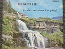 the marshalls- beautiful- rare private press lp