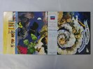 The Moody Blues A Question Of Balance Threshold L20P 1032 Japan  VINYL LP OBI