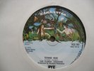 The Flamin' Groovies – Teenage Head / Headin' For The Texas Border  - 7