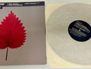 Depeche Mode Freelove 12“ Vinyl P 12 Bong 32 UK Promo Mute – P12BONG32