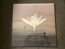 Copeland - Ixora Twin LP (white Vinyl) - Rare