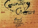 August And Everything After Counting Crows Vinyl 45 Rpm Analogue Productions New