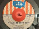 Miss Ann Littles I Will Be Got Dog 830 rare northern soul 45 hear