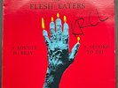 The Flesh Eaters ‎LP– A Minute To Pray A Second To Die-1981 Great   Ruby Records