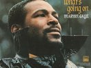 Marvin Gaye ‎– What's Going On- Reissue 180G Gatefold Sleeve Vinyl LP New Sealed