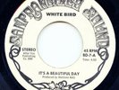 IT'S A BEAUTIFUL DAY on San Francisco Sound —WHITE BIRD— psych rock 45 | ORIG