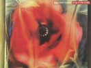 LOVE & MONEY - Dogs In The Traffic (reissue) - Vinyl (LP)