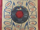 Miss Frankie Nolan - I Still Care / Summer All Year Round - ABC - RARE 45