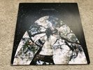 FRIENDLY FIRES - Friendly Fires 2008 Vinyl Album LP USED debut self titled RARE